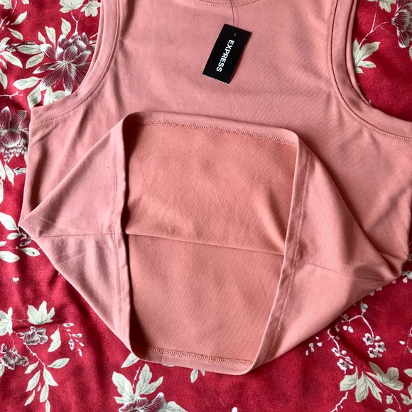 *NWT* Silky Sueded Jersey Cropped Muscle Tank - Terra Cotta - Size XXS - Express - Picture 10 of 14